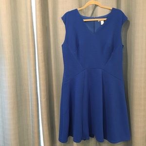 London Times Textured Knit Fit & Flare Dress